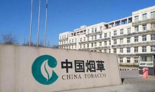 中国烟草公司招聘要求