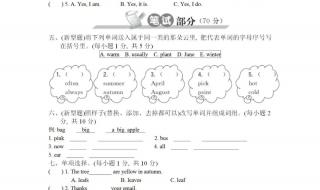 五年级下册英语期中试卷