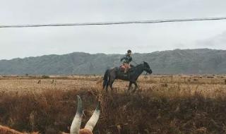 我一个人吃饭旅行到处走走停停