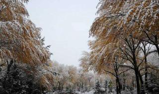 山西多地降雪