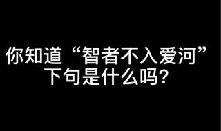 智者不入爱河下一句是啥