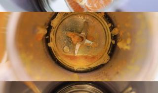 破壁机榨橙汁的做法