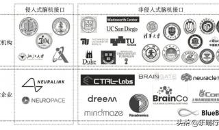 脑机接口概念龙头股