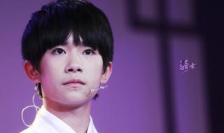 步步高家教机tfboys