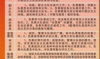 党支部委员职责分工