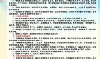 党支部委员职责分工